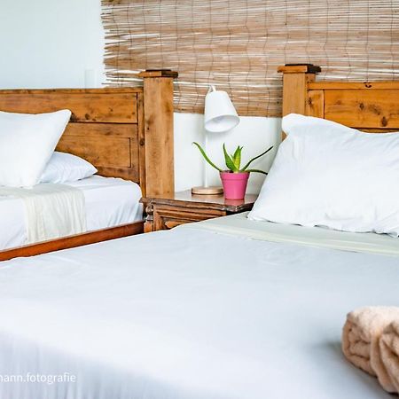 Lost In San Jose Hotel & Hostel 外观 照片