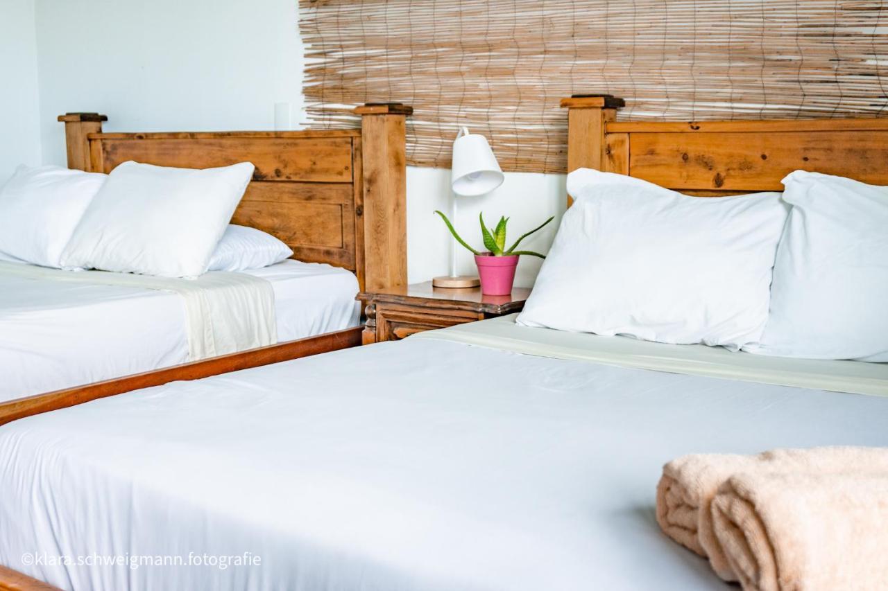 Lost In San Jose Hotel & Hostel 外观 照片