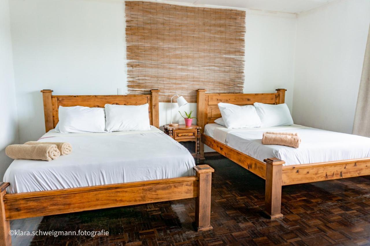 Lost In San Jose Hotel & Hostel 外观 照片