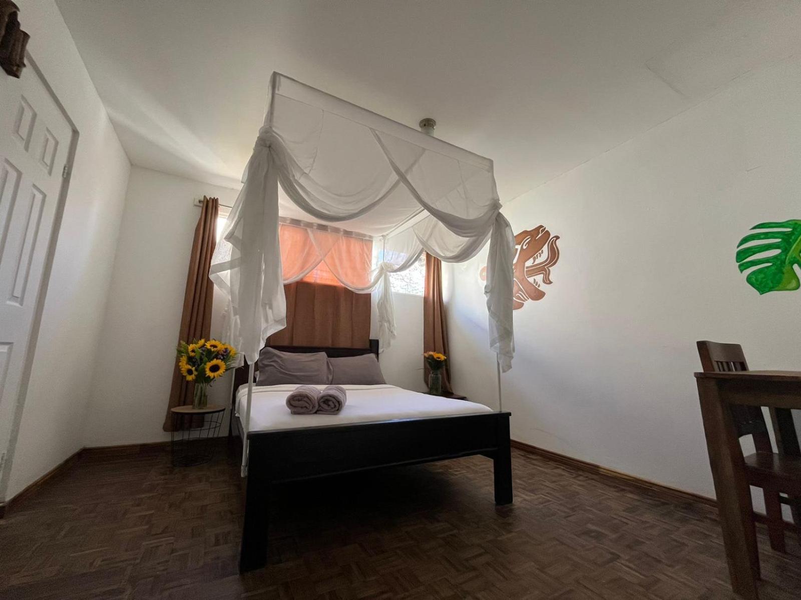 Lost In San Jose Hotel & Hostel 外观 照片